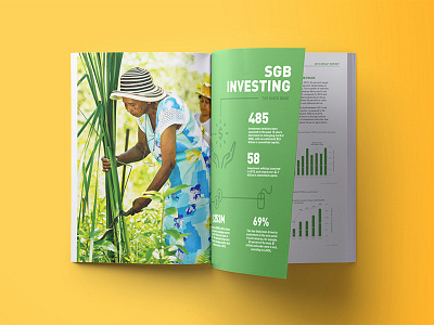 ANDE Annual Report annual report art direction bold colorful creative direction editorial graphs infographic ngo nonprofit print design typography