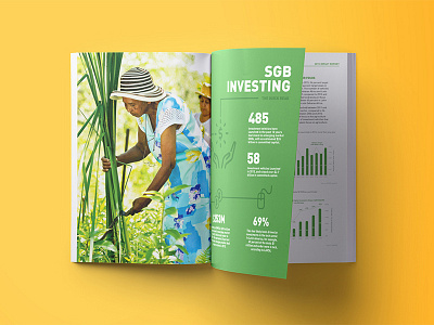 ANDE Annual Report