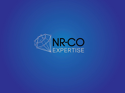 NR CO Expertise logo