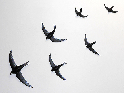 6 Swifts (modelling clay) 3d art bird clay model mould nature samcoxon sculpture swifts