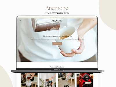 Anemone Clean Shopify Theme