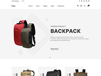 eCommerce Shopify Theme