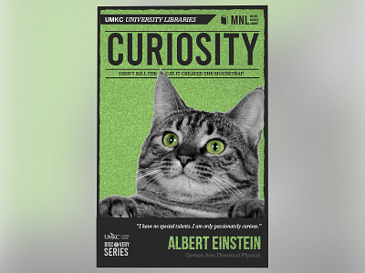Discovery Series: Curiosity branding cats graphic design illustrator