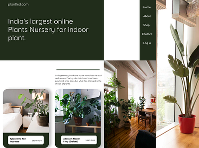 Hero section for Plantled.com (concept) design figmadesign web webdesign webdesigner webflow website