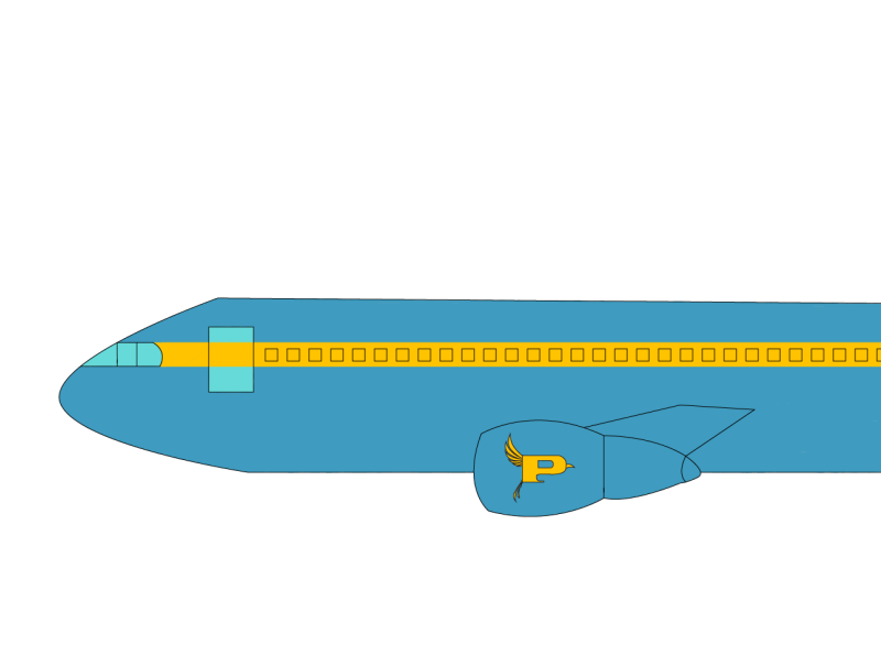Pan Am Rebranding Plane Design by Samantha Pareti on Dribbble