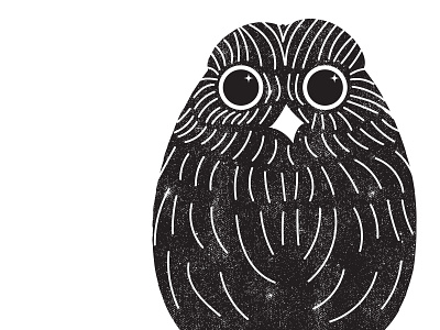Space Owl cosmic illustration monochrome owl space