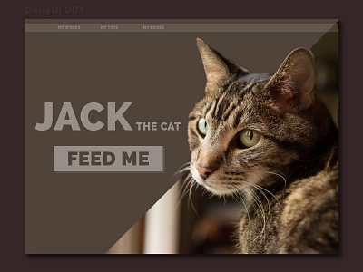 DailyUI 003 Landing Page 003 cat dailyui ladning page