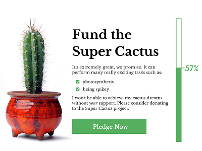 DailyUI 032 - Crowdfunding cactus crowdfunding dailyui dailyui 032