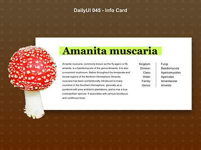 DailyUI 045 - Info Card dailyui dailyui 045 info card mushroom