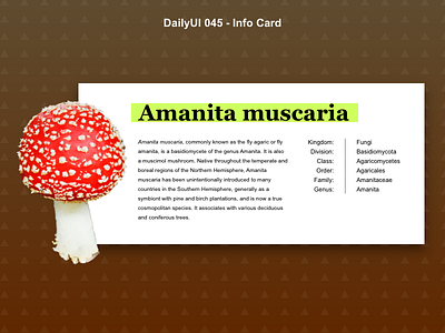 DailyUI 045 - Info Card