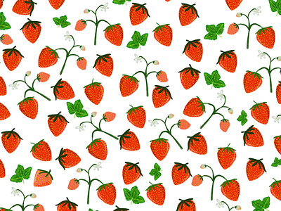 Strawberry plants