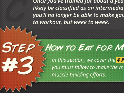 How to Build Muscle for Beginners Infograph