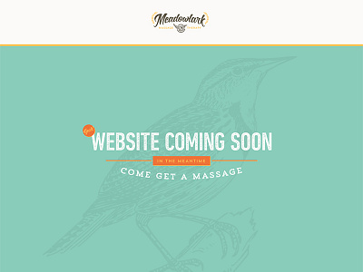 Meadowlark Splash Page bird massage texture vintage website