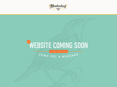 Meadowlark Splash Page