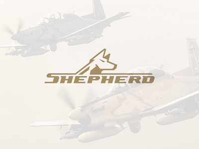 Defense Aircraft Logo