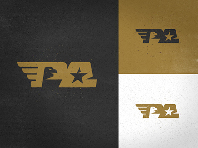 PA Logo 2 america branding eagle logo mark monogram star usa