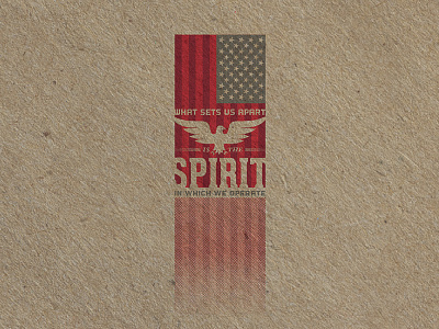 Fuckin' USA Spirit Eagle