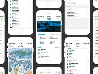 Stevenspass Concept (iOS)