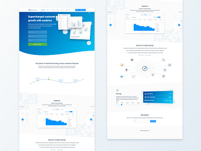 smetrics.io landing page