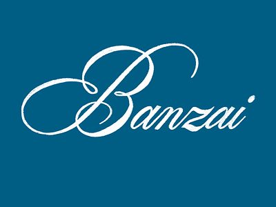 Banzai Daniel San! banzai copperplate design films graphic design japan karate karate kid layout lettering lettering art letters script typography