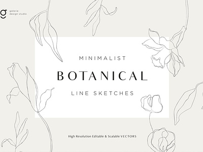 Minimalist Botanical Line Sketches 3d animation app branding design graphic design icon illustration logo motion graphics typography ui ux vector