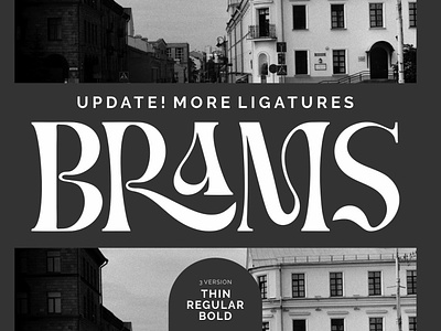 BRAMS - Display Serif (UPDATED!) 3d animation app branding design graphic design icon illustration logo motion graphics typography ui ux vector