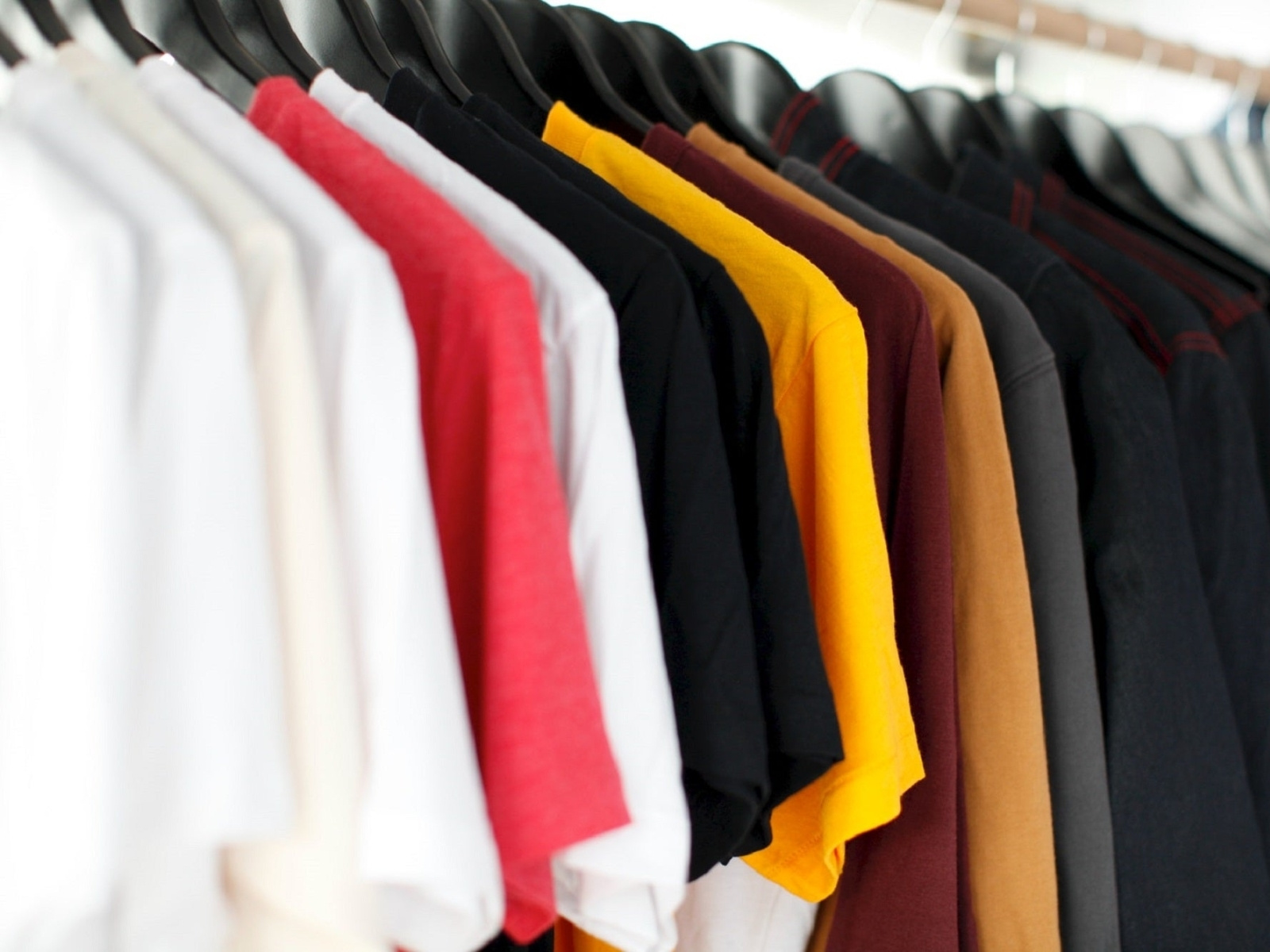 Environmental benefits of Bamboo Clothing by Felipe Tadd on Dribbble