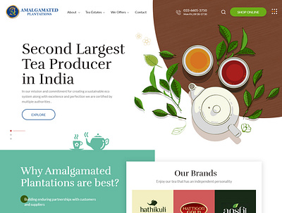 Tea Producer Company ui website design