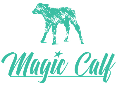 MAGIC Calf logo cars design graphic design illustration logo
