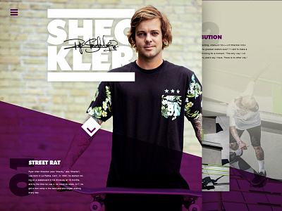 Sheckler Concept