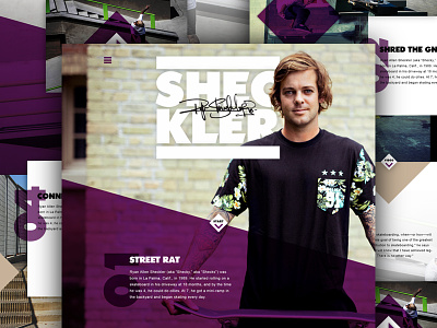 Sheckler Concept design graphic design purple ryan sheckler skateboarding ui ux web concept website