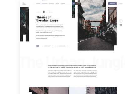Article Layout 2