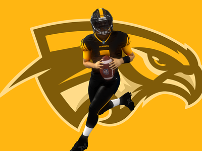 Pittsburgh Ironhawks🏈🐤 3d art black branding design football game illustration logo sports