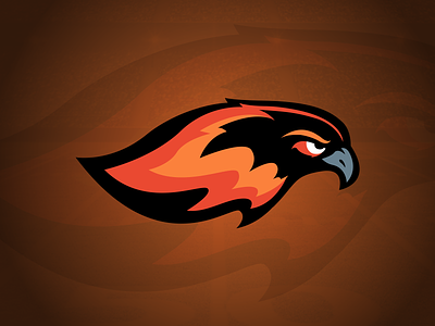 Detroit Firebirds bird logo black branding design fire football illustration logo orange red sports