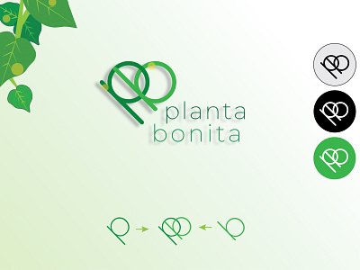 Minimal Logo: Planta Bonita branding clean custom logo design green logo minimalist logo modern logo plants vector