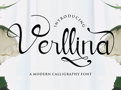 INTRODUCING - VERLLINA FONT ad brand calligraphy cursive design elegant fashion font latin letter model modern script set typoface typography