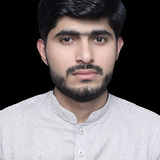 Muhammad Shoaib Arif