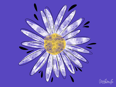 Daisy daisy flower procreate watercolor