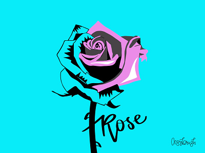 Rose flower illustration procreate