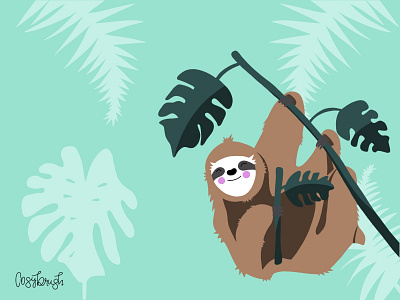 Sloth animal illustration procreate sloth