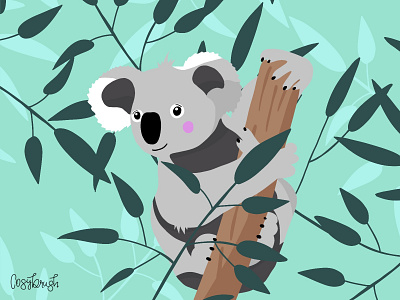 Koala bear animal illustration koala bear procreate