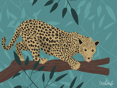 Leopard animal illustration leopard leopard print procreate