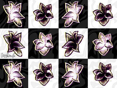 Amaryllis amaryllis black and whinte chessboard flower procreate