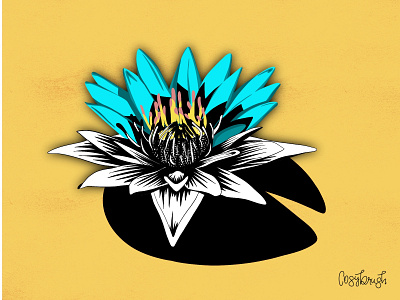 Water lily flower procreate water lily