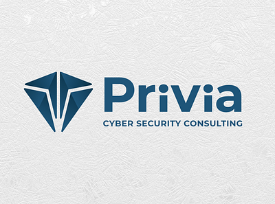 Privia Security — Logo Design brand branding cyber helmet logo logo design mood board privia privia security ruby security security logo shield