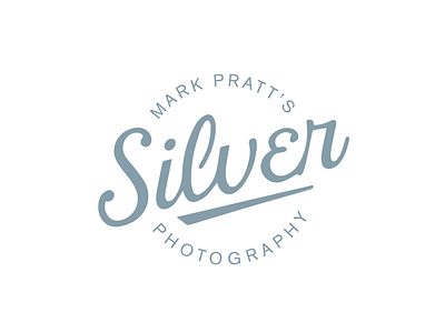 Silver Photography Logo Option