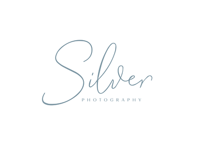 Silver Photography Logo Option