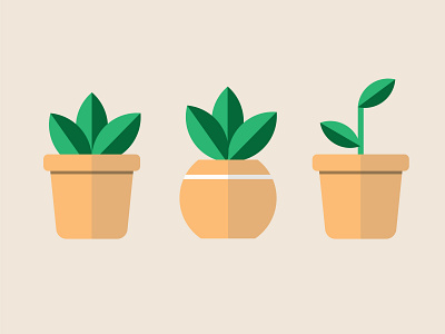 Plants adobe illustrator illustration plants