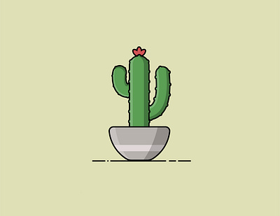 Cactus adobe illustrator cactus illustration