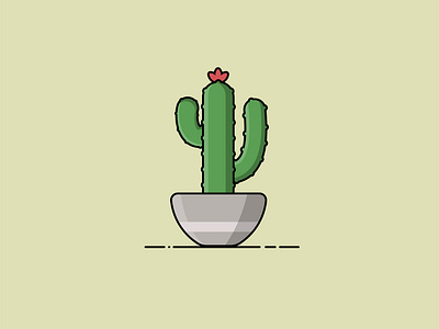 Cactus